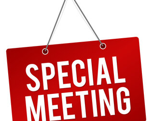 SPECIAL CALLED MEETING